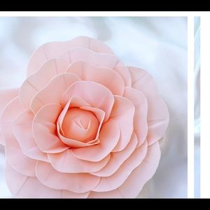 Meet your Posher, Lydia